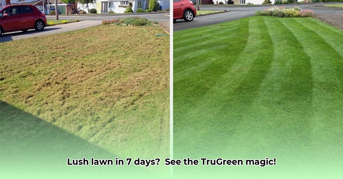 before-and-after-trugreen